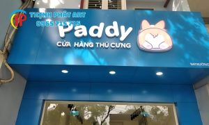 THINH PHAT ART 0965 715 715 6 Picsart AiImageEnhancer