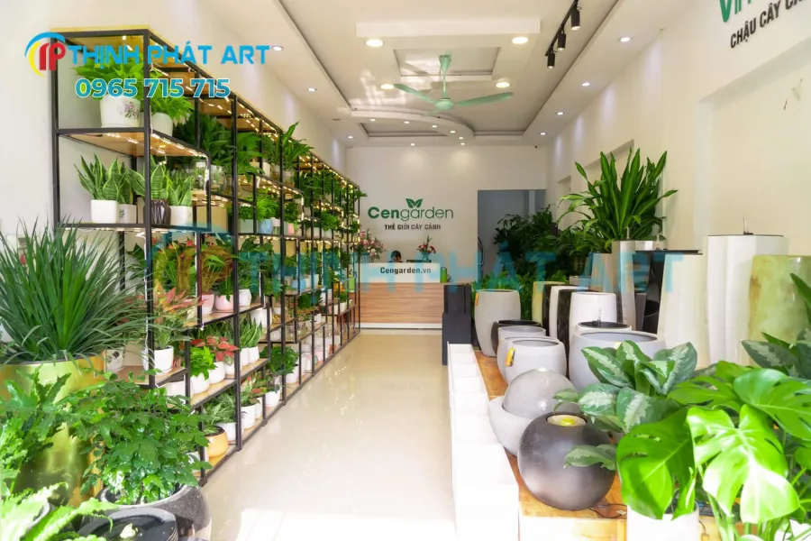 Cửa hàng phong cách xanh – gần gũi thiên nhiên