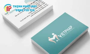 In card visit chuyên nghiệp tại Quảng Trị cho startup